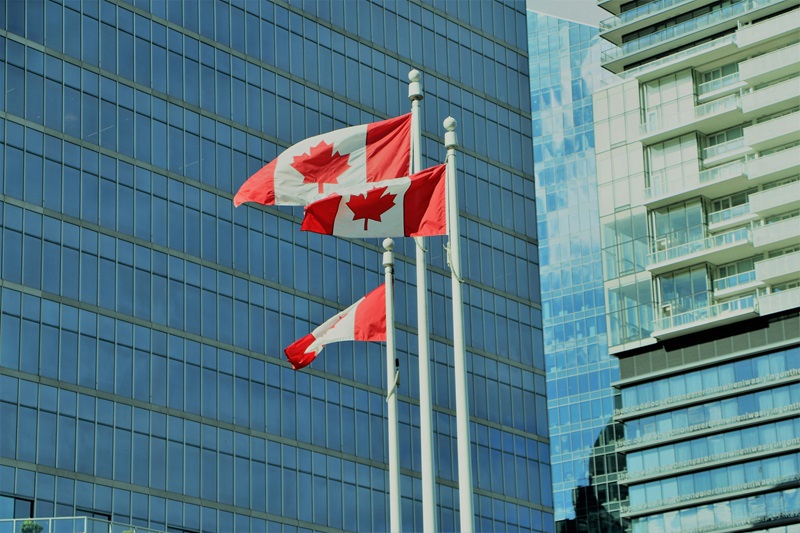 canada flags